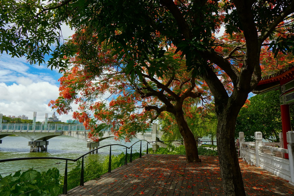 http://i.dcview.tw/gallery/201306/bba8bcb0b926472ab43f2f65d49affc4.jpg