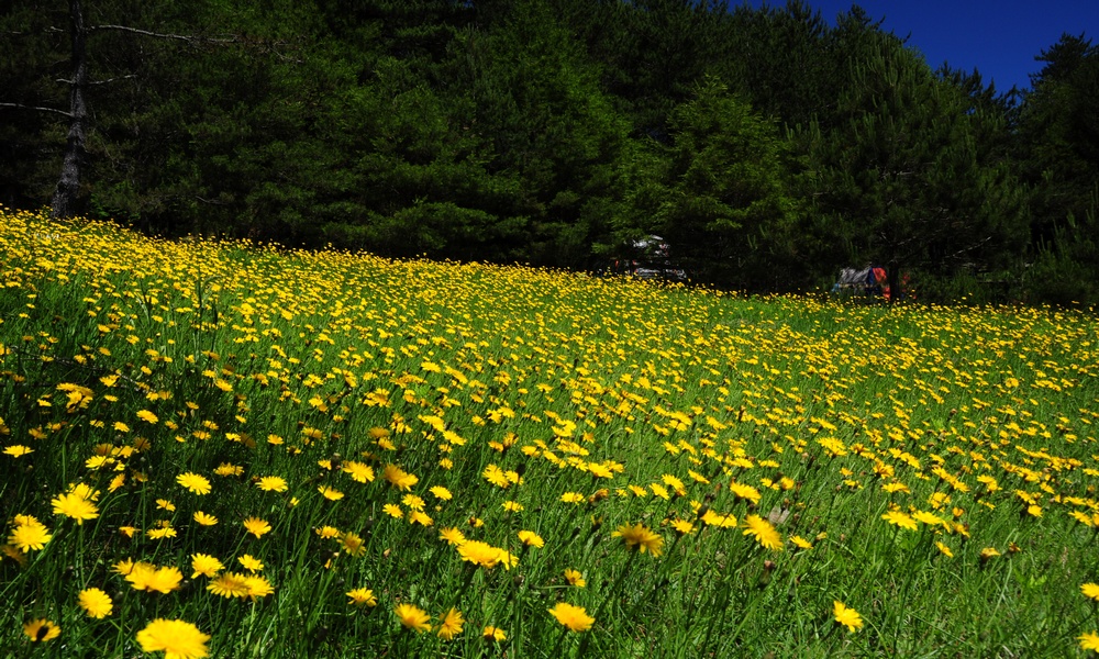 http://i.dcview.tw/gallery/201306/c3e947042b3a171b2db1085e9b656650.jpg