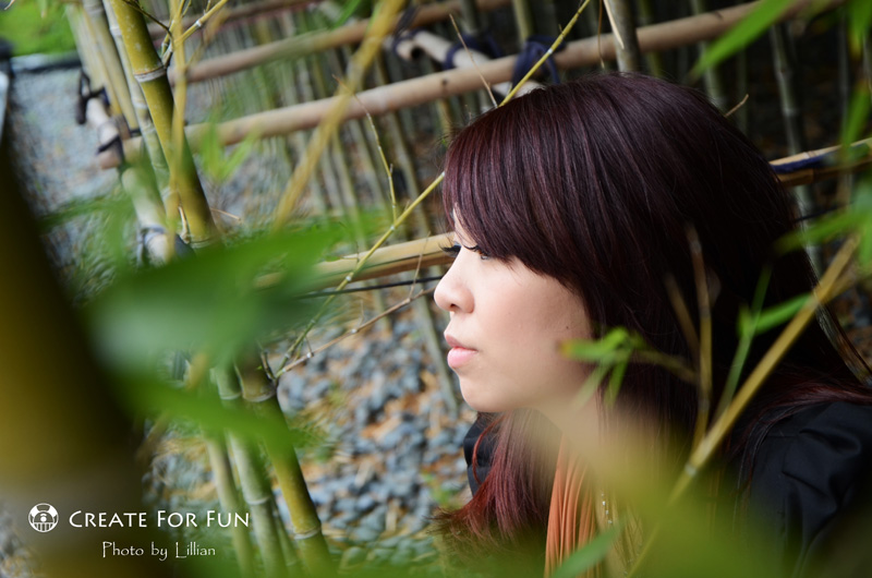 http://i.dcview.tw/gallery/201306/ca6d020b589aff7593fc20882521e70b.jpg