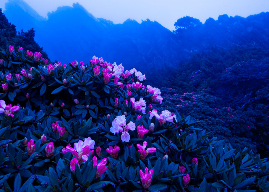 http://i.dcview.tw/gallery/201306/cd880501d4795a107f1fb6acc868a4e9.jpg