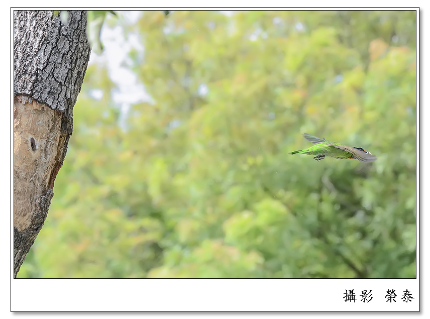 http://i.dcview.tw/gallery/201306/d462852d710b3d6642da1674017ef01c.jpg