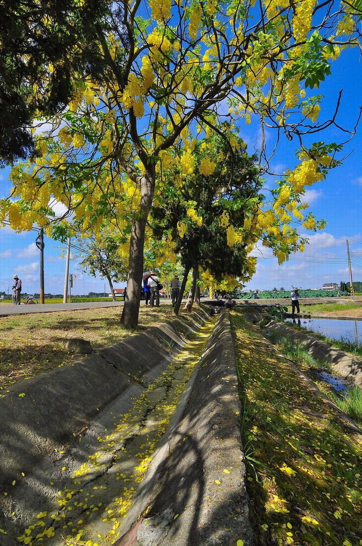 http://i.dcview.tw/gallery/201306/f1fe525ae53d47917741d0aa2349c607.jpg