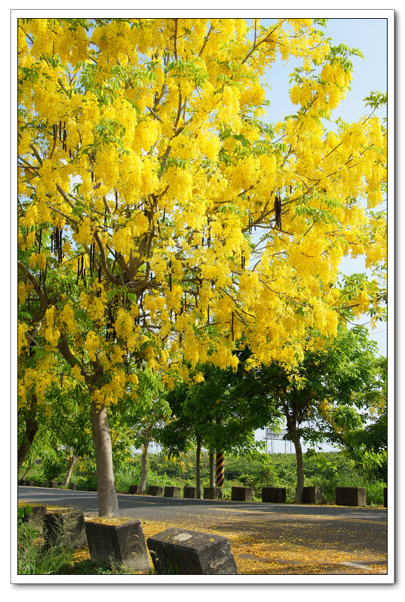 http://i.dcview.tw/gallery/201306/f21736ccd353487909fb940d8e673680.jpg