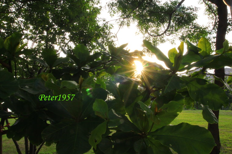 http://i.dcview.tw/gallery/201306/f443a6e3791c852c340c7b196b6d6a63.jpg