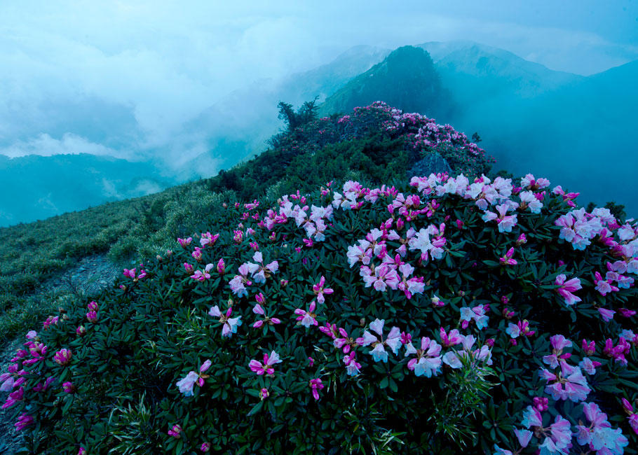 http://i.dcview.tw/gallery/201306/f5cb908d3cf4ecefcf52e294b44a6252.jpg