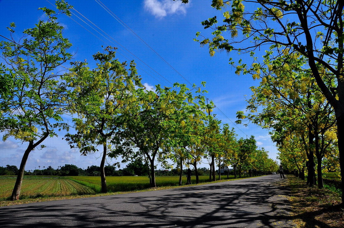 http://i.dcview.tw/gallery/201306/f8fdefd00012f420e3be3fad98c6abfa.jpg