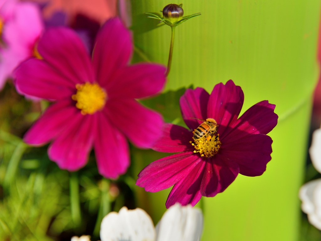 http://i.dcview.tw/gallery/201307/0b9f01d8d31a55d89da53ad36d1adcc0.jpg