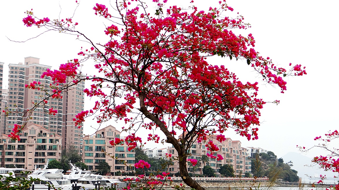 http://i.dcview.tw/gallery/201307/10abb1ad848fbf535e85db15d598fa8a.jpg