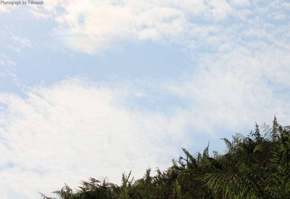 http://i.dcview.tw/gallery/201307/1f8e9d15f77528d34a2262d9db6cb3a6.jpg
