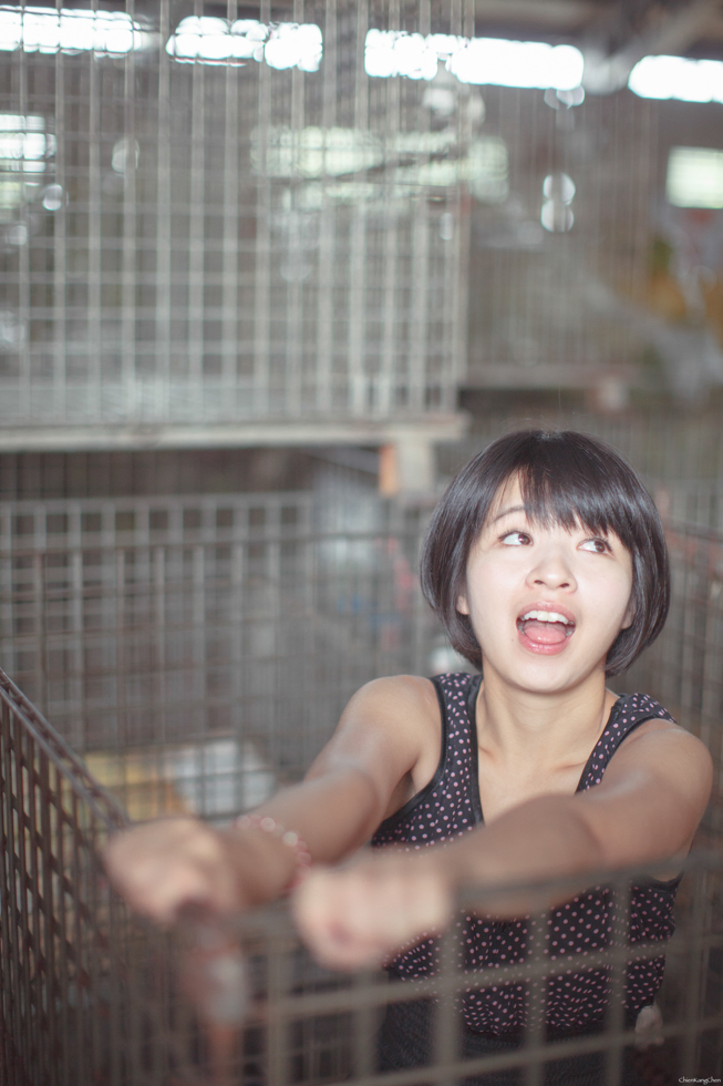 http://i.dcview.tw/gallery/201307/309dbbe629daef4e0b5771bcf313b880.jpg