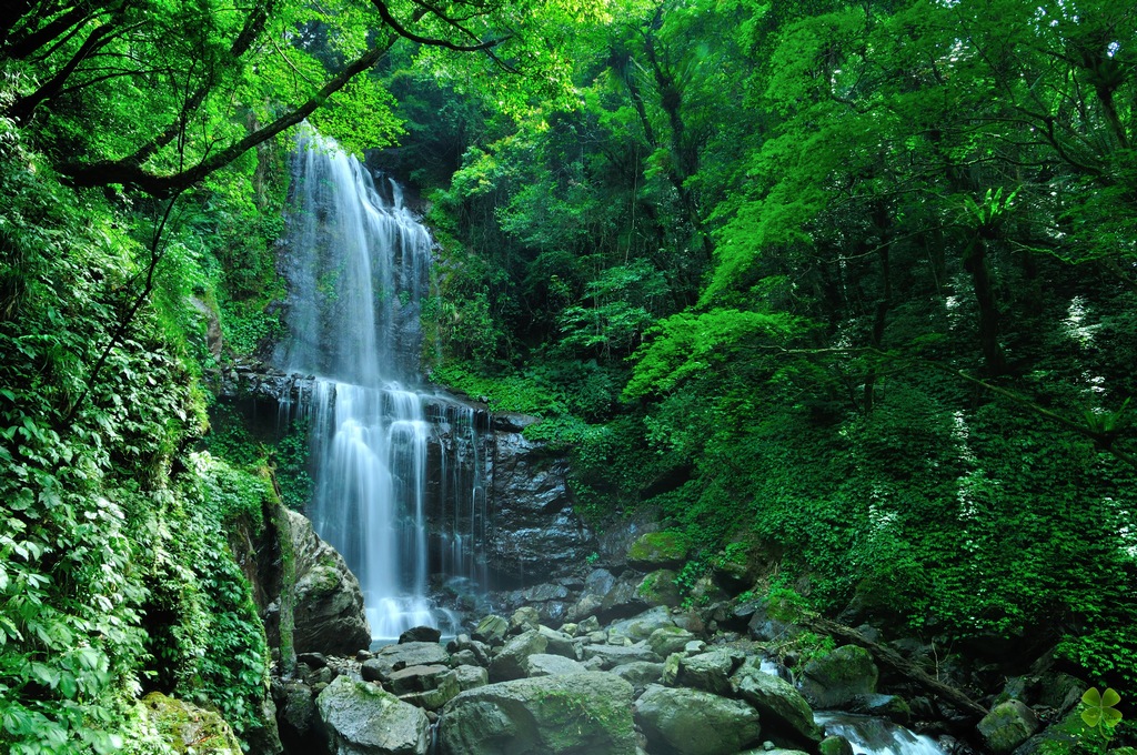 http://i.dcview.tw/gallery/201307/6d9fd118fa5b74aacd9cc6da1cf6cbe2.jpg