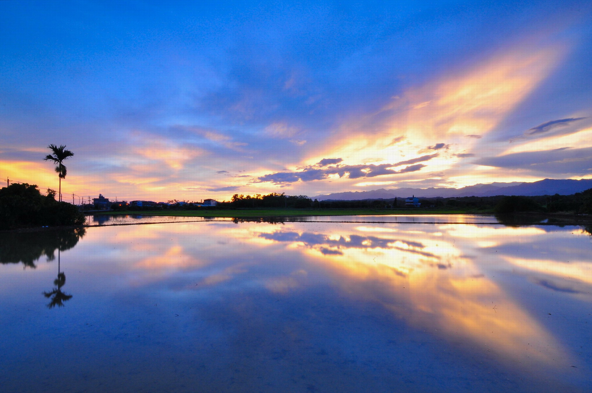 http://i.dcview.tw/gallery/201307/bb6d14c85ec94f5299b701ad46b58876.jpg