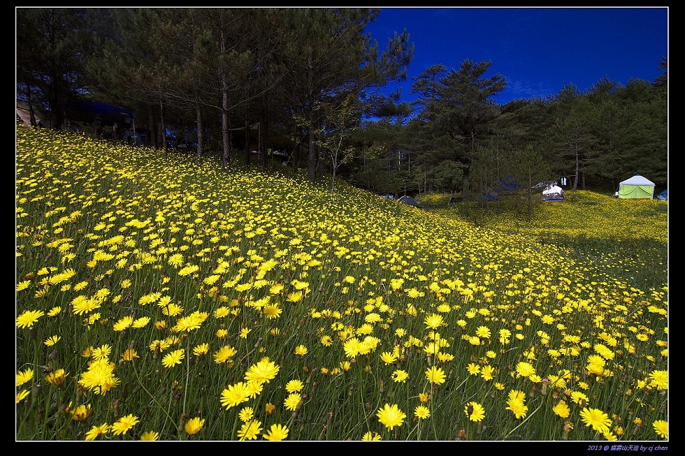 http://i.dcview.tw/gallery/201307/cac655e34016619a8a3d50d3e07cc448.jpg