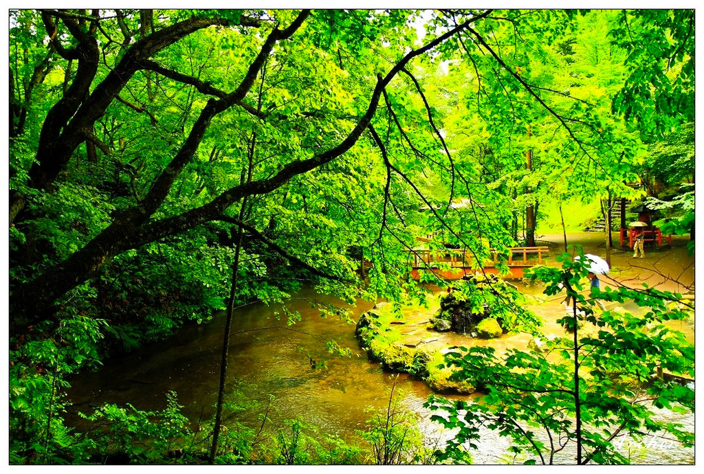 http://i.dcview.tw/gallery/201307/dd443f08f818b5a6128185d7927294c1.jpg