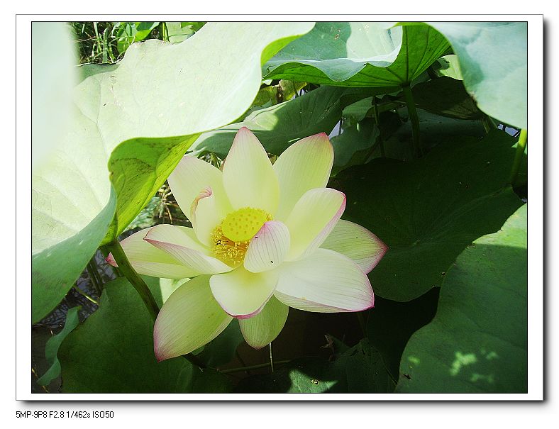 http://i.dcview.tw/gallery/201307/e668d1e7b94388ccea44d458af4f0585.jpg