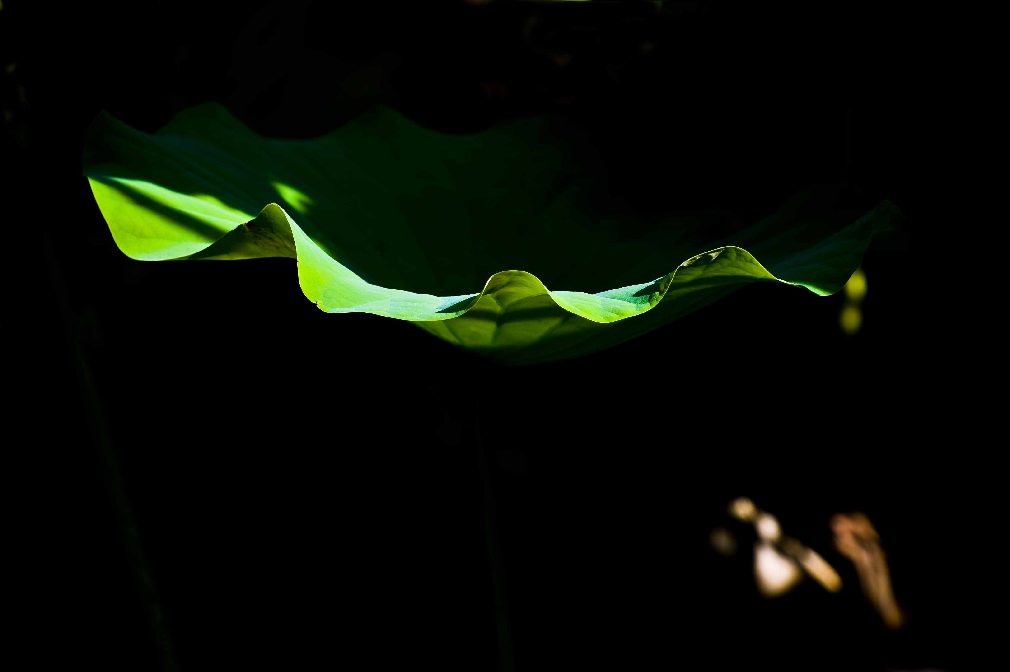 http://i.dcview.tw/gallery/201308/3b94ce4a66b5ff168b76647ec9797362.jpg