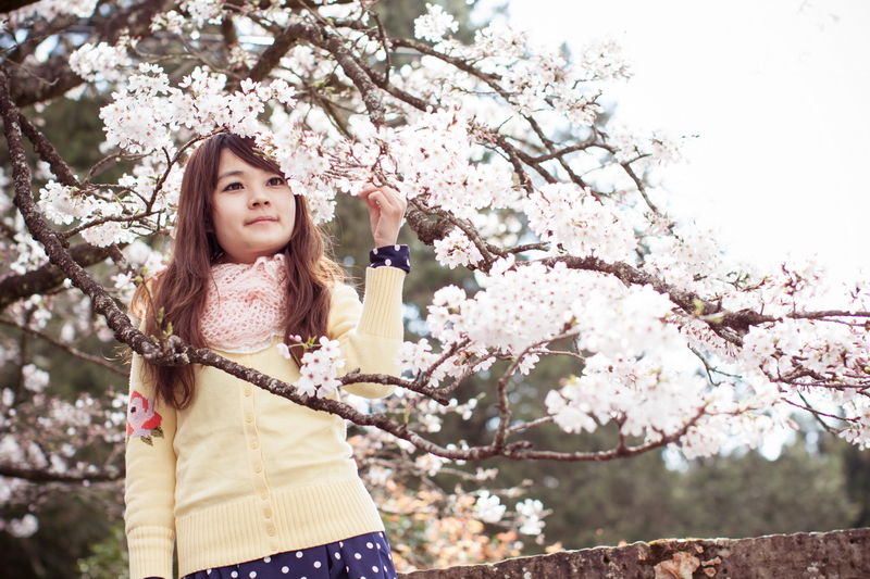 http://i.dcview.tw/gallery/201308/3edbee3231369d615c05145e78276ae0.jpg
