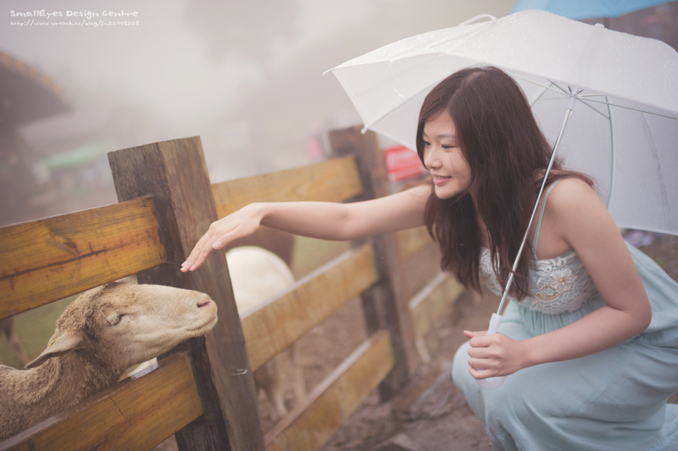 http://i.dcview.tw/gallery/201308/4451eda5d42d3c51a4d3fc9579729b9b.jpg