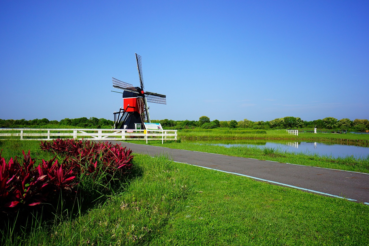 http://i.dcview.tw/gallery/201308/4682ea8c5d07fefb8b21a1811efeaf23.jpg