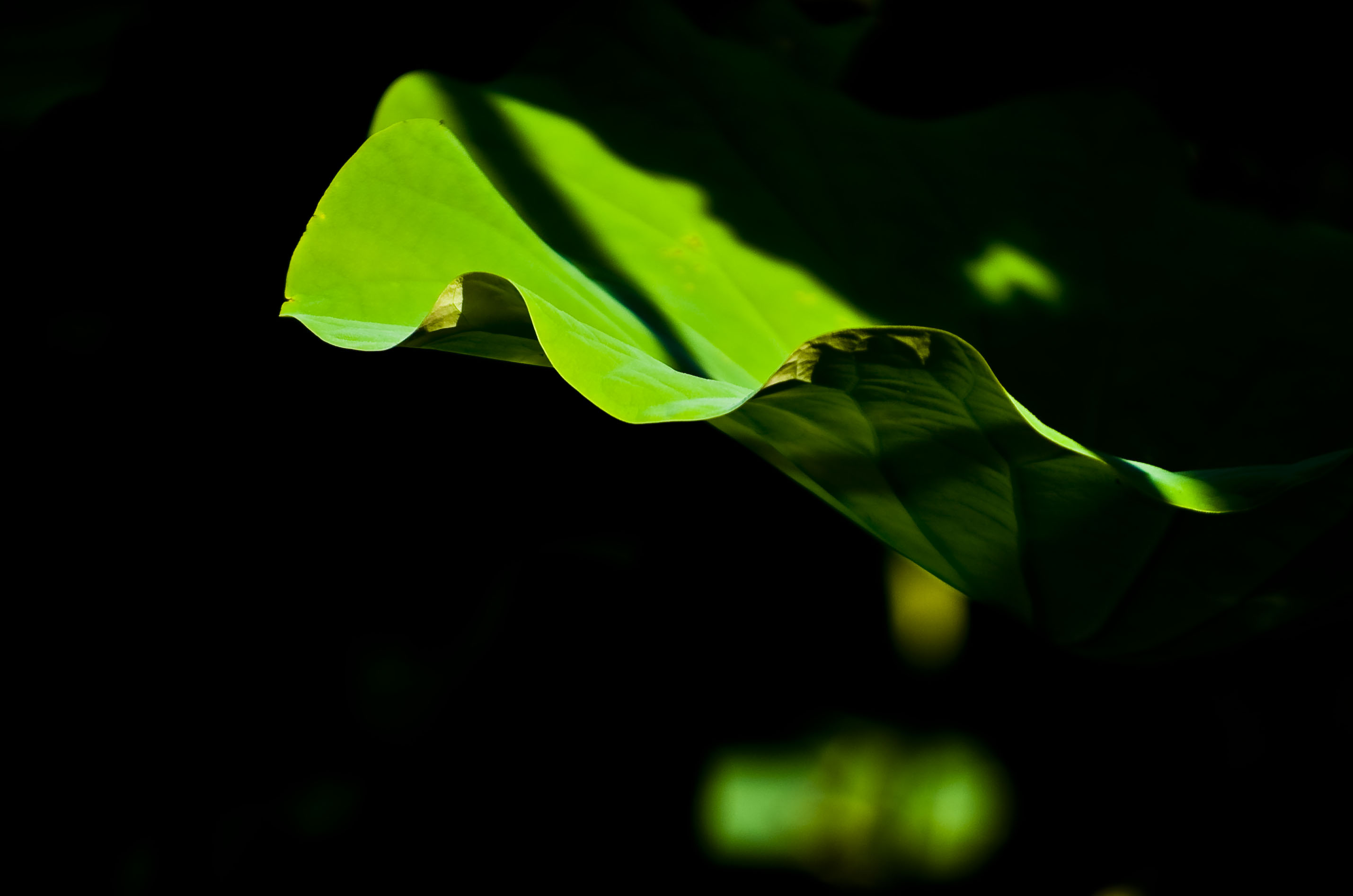 http://i.dcview.tw/gallery/201308/575fa2e55a99a124deadd7b7e0c881cc.jpg