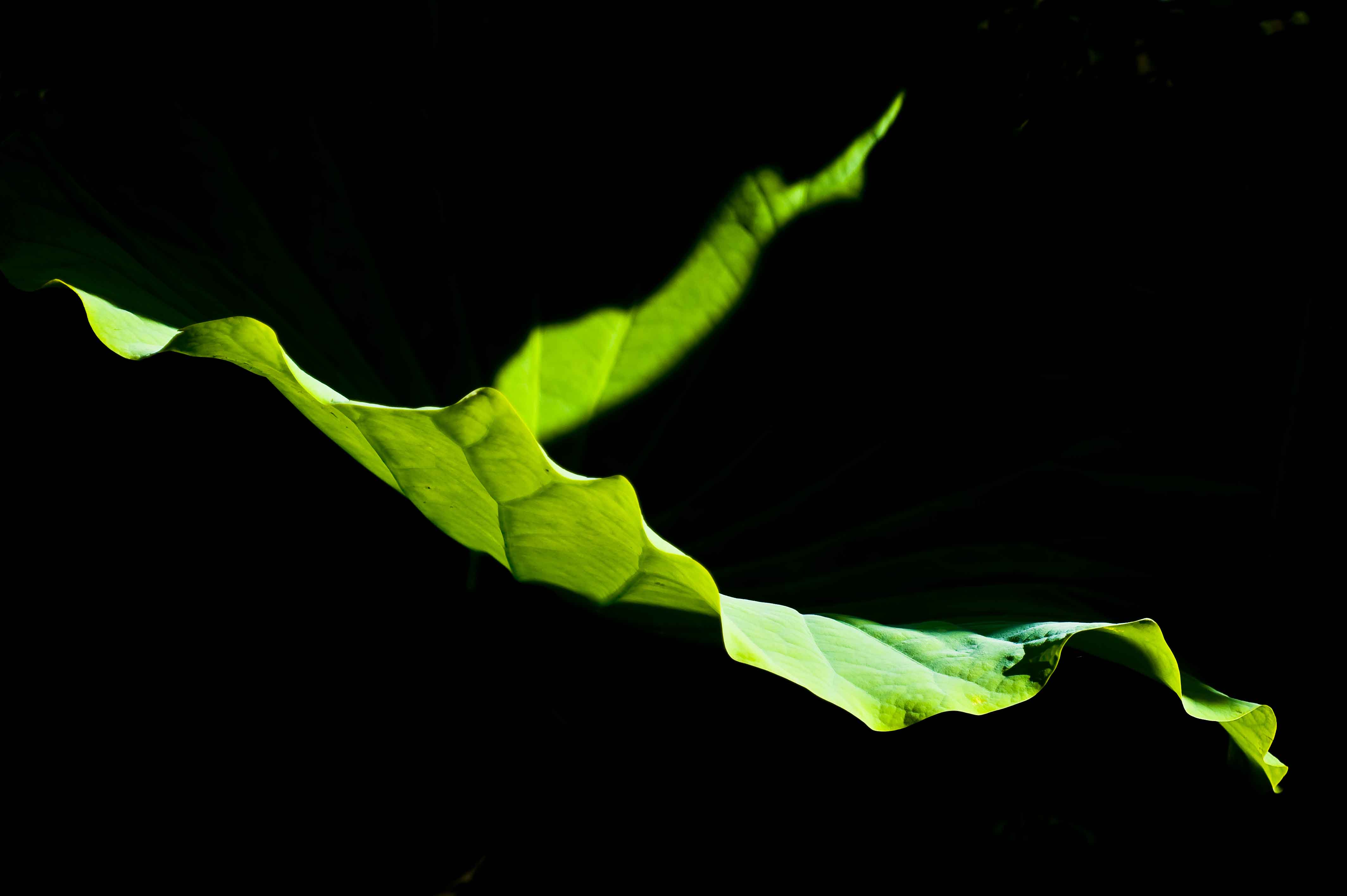 http://i.dcview.tw/gallery/201308/599315b3bd9f82344051b9f3fb3a5c7f.jpg
