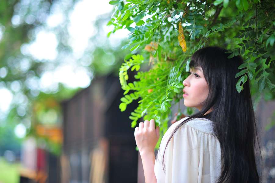 http://i.dcview.tw/gallery/201308/6098fc2c36bc2c8acd5480b307a3df95.jpg