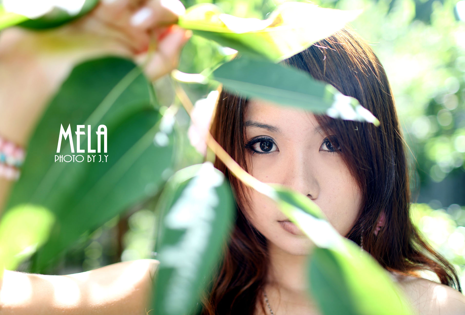 http://i.dcview.tw/gallery/201308/870a7f44c55f57483248286689956582.jpg