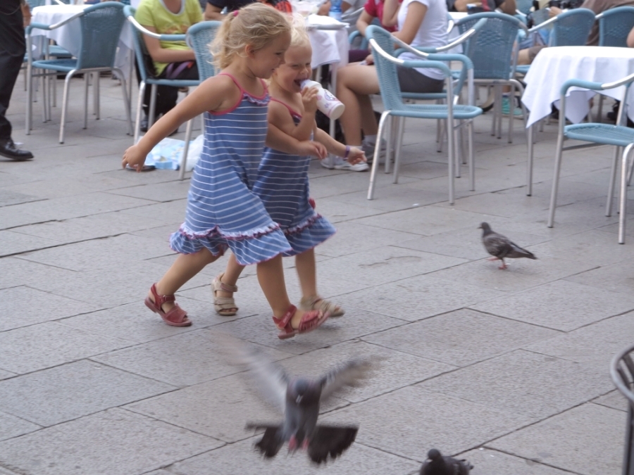 http://i.dcview.tw/gallery/201308/9517a242484b752fe687e24c78787df3.jpg