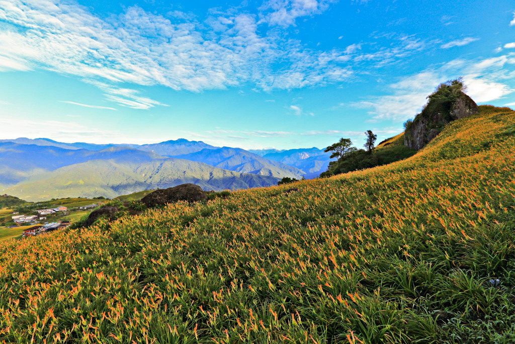 http://i.dcview.tw/gallery/201308/9652a081292aaf5fcff7baa4aa8aa964.jpg