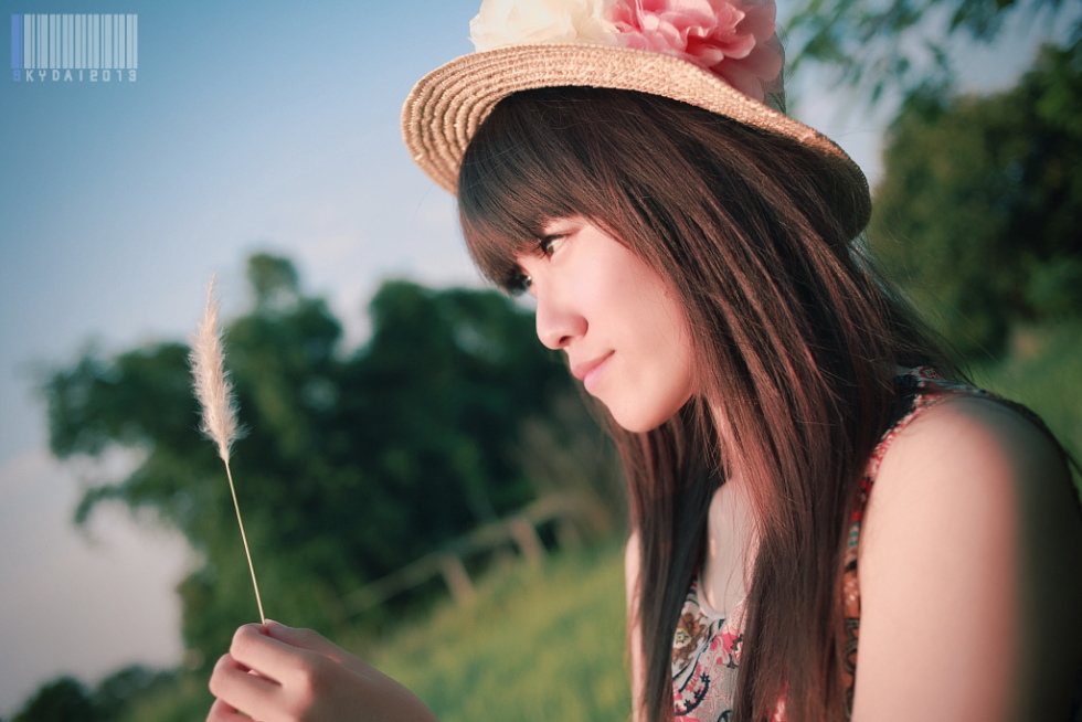 http://i.dcview.tw/gallery/201308/ae802b00c7f4342bc130ee47b8686161.jpg