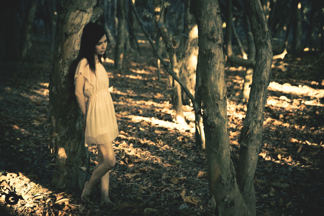 http://i.dcview.tw/gallery/201308/b6d7cee934681a7f161d12ed76bc3359.jpg
