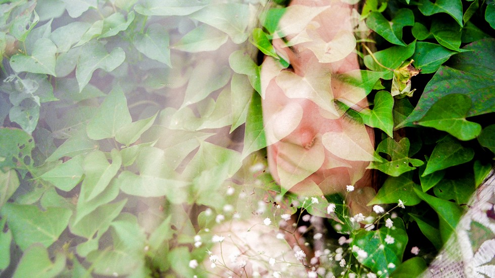 http://i.dcview.tw/gallery/201308/ba0ed001cd60407745e60f1b59433f4a.jpg