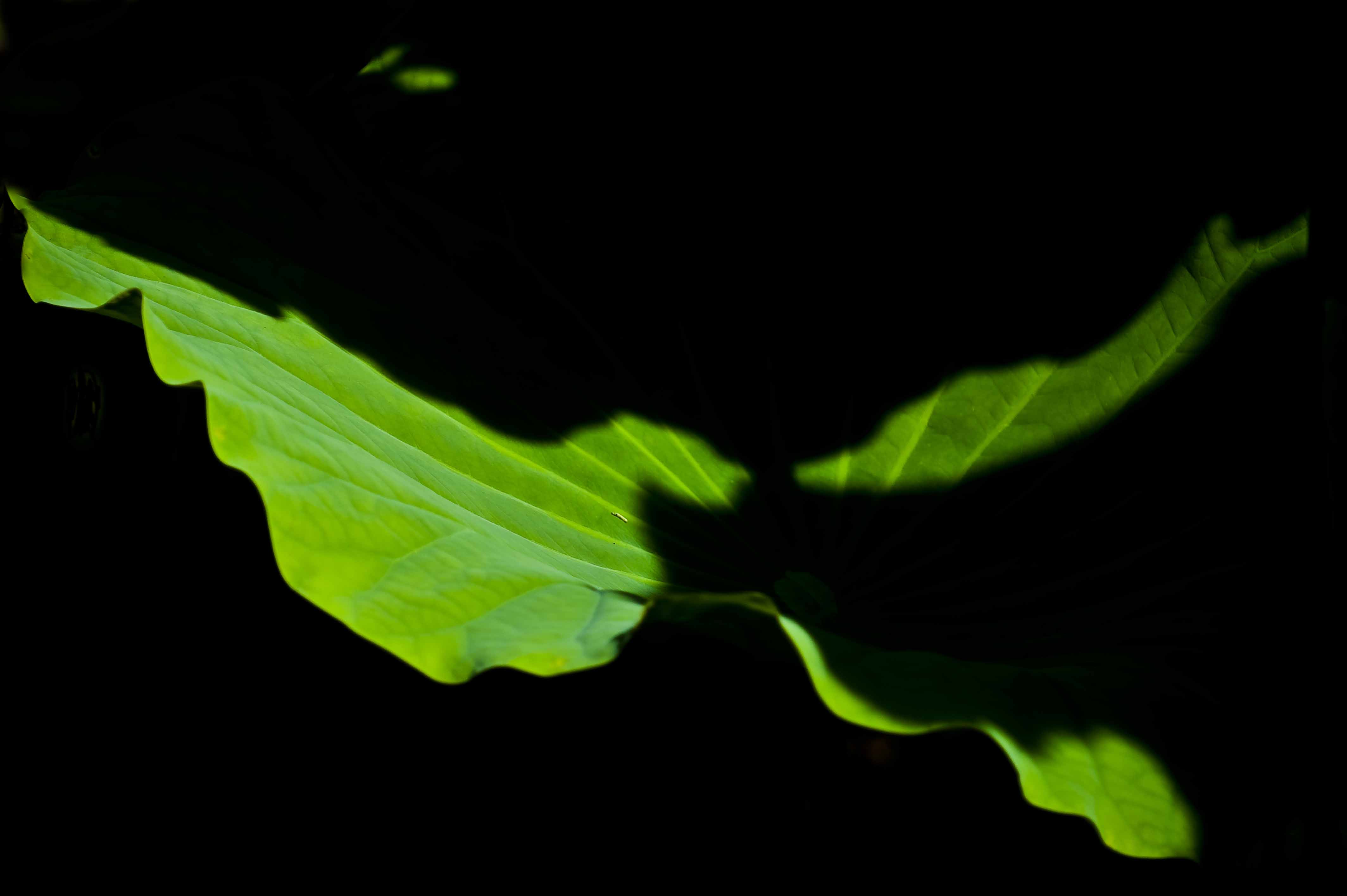 http://i.dcview.tw/gallery/201308/bd8c60cfc34cfb737ebbfb07b1b10eaf.jpg