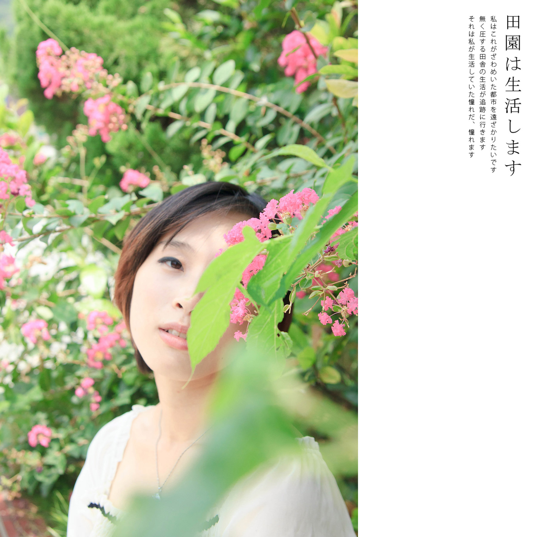 http://i.dcview.tw/gallery/201308/cec3a925f2a2684262ea00331882c660.jpg