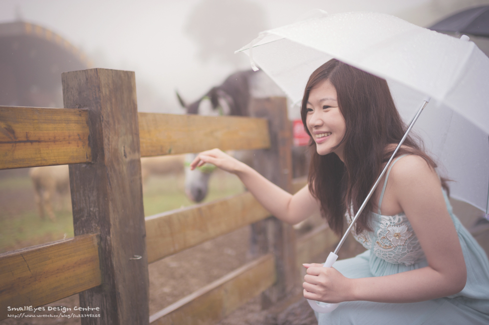 http://i.dcview.tw/gallery/201308/d00628278d17cac41026cd94f3b82a0e.jpg