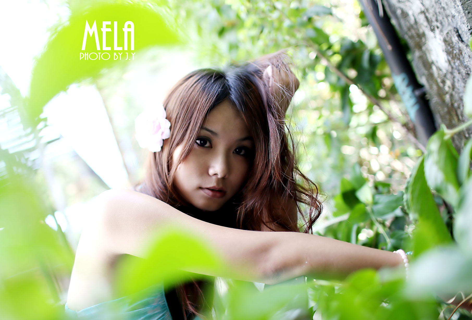 http://i.dcview.tw/gallery/201308/ee7d74c241cb79d399cf6ac3d492227a.jpg