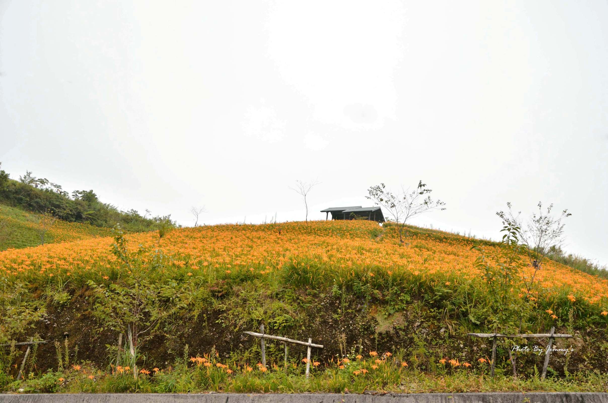 http://i.dcview.tw/gallery/201308/f1e55cece6d41fae01fce9f610f92359.jpg