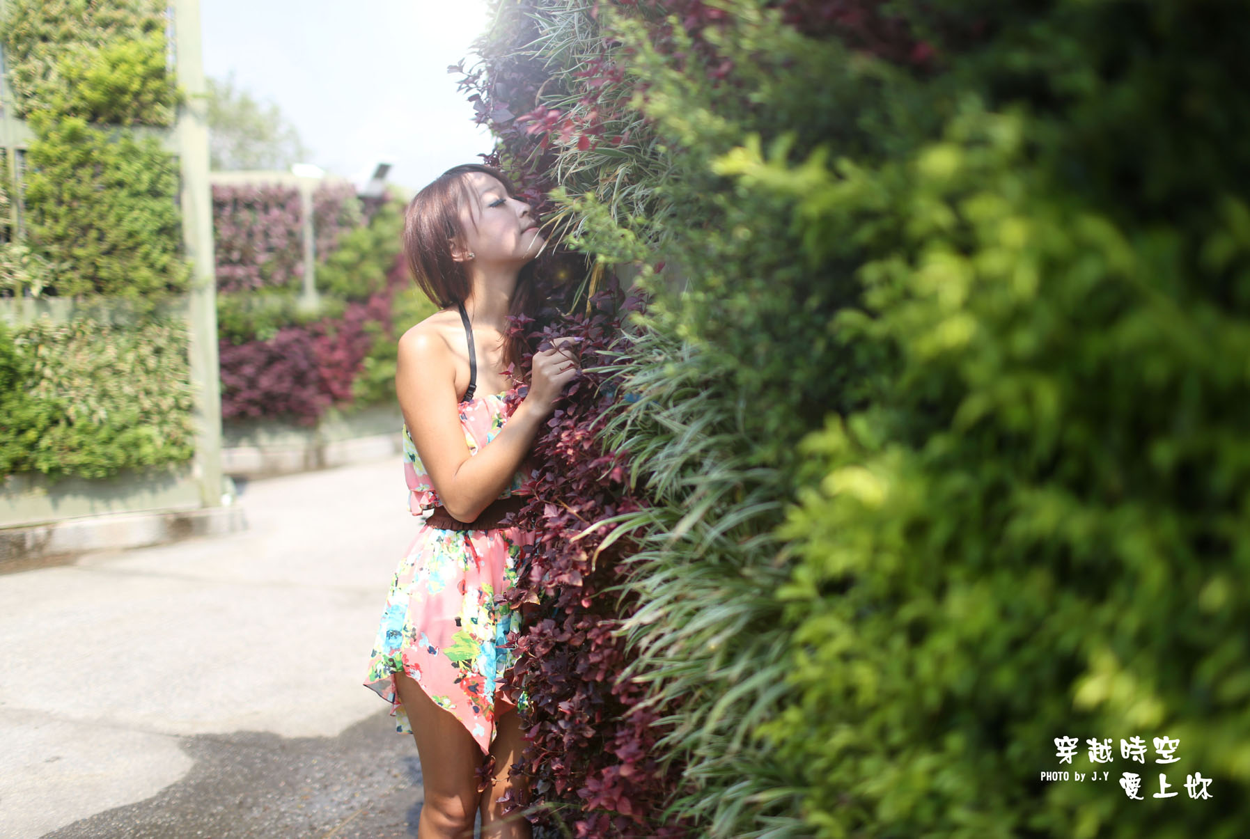 http://i.dcview.tw/gallery/201308/fcb130a509b54ce651c3f52f3dcb3723.jpg