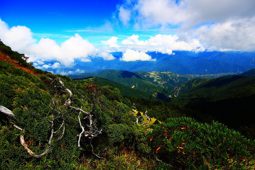 http://i.dcview.tw/gallery/201309/05b40d5e54171065ac1df49bc0c6e2a4.jpg