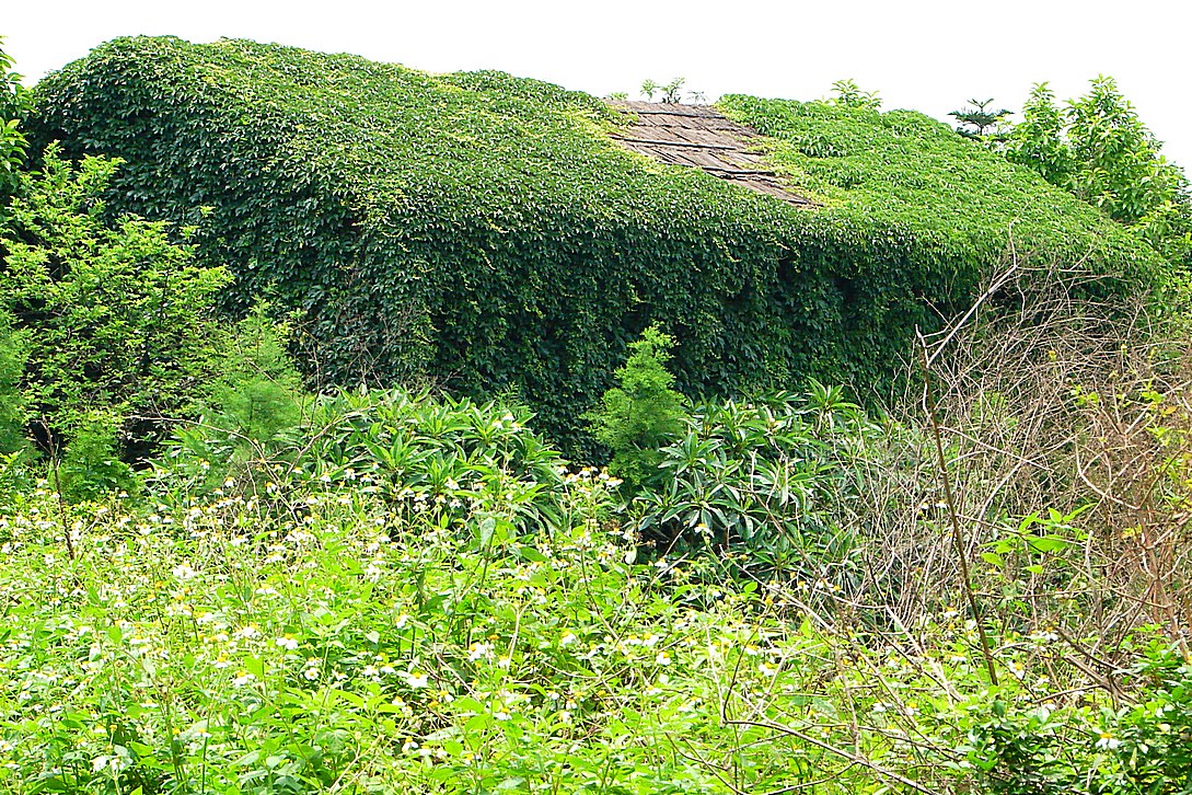http://i.dcview.tw/gallery/201309/0ed993a1a92c17a6cb4fdbdb42980fb1.jpg