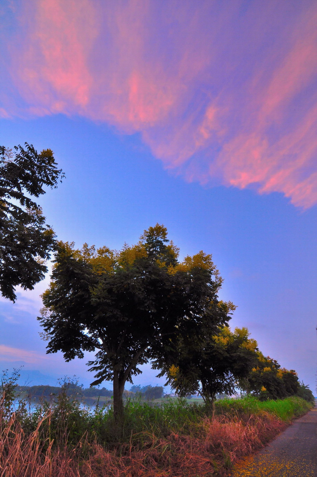 http://i.dcview.tw/gallery/201309/1f69697ac6db26c0b71452fe56409d3c.jpg