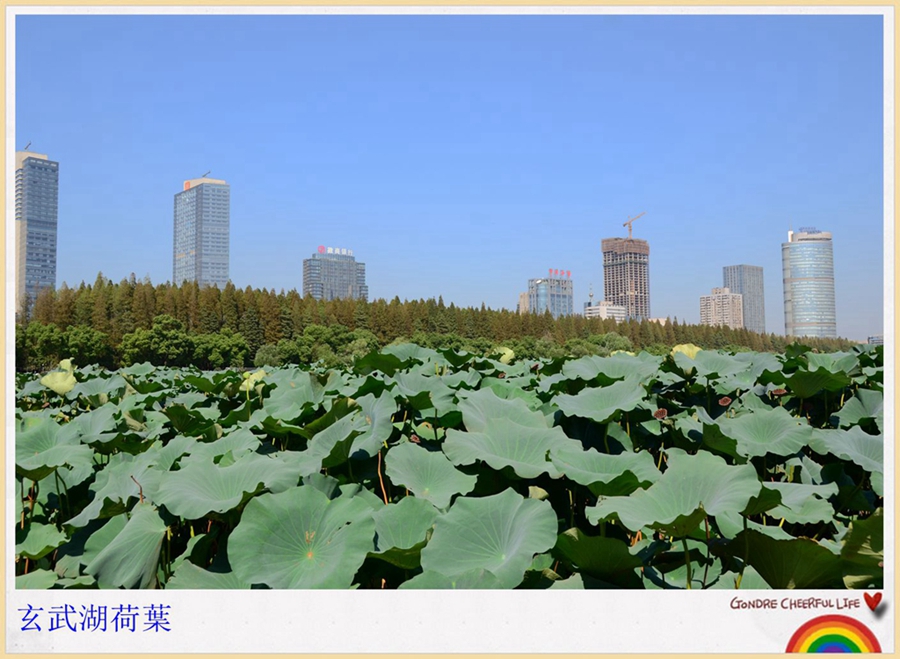http://i.dcview.tw/gallery/201309/314c3e2956cd3af0ab4d158e01c49cbc.jpg