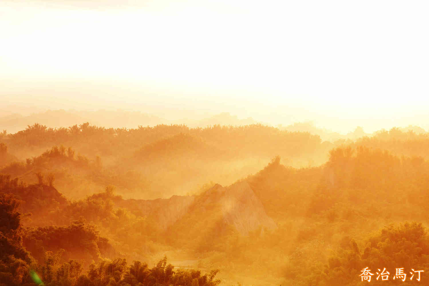 http://i.dcview.tw/gallery/201309/508a51809eb52d3ef310591c29be7288.jpg