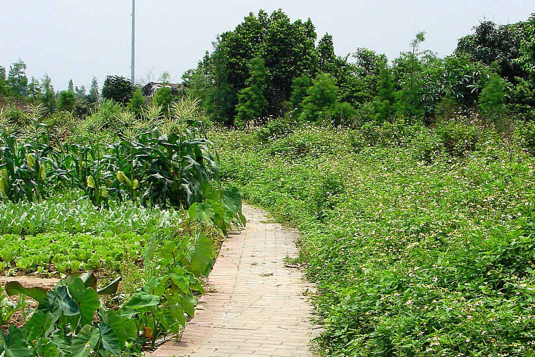 http://i.dcview.tw/gallery/201309/534257507d4bdd2d07205ac774c38f31.jpg