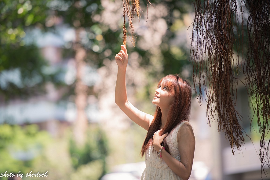 http://i.dcview.tw/gallery/201309/730a39f2e9b76ffc619f5e85d4a870e5.jpg