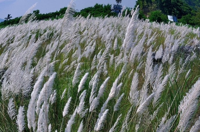 http://i.dcview.tw/gallery/201309/7f587ce2f485672cc0e109564871ed00.jpg