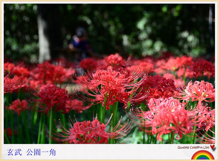 http://i.dcview.tw/gallery/201309/84af09741f9c29ff01f59eea854f3d9d.jpg