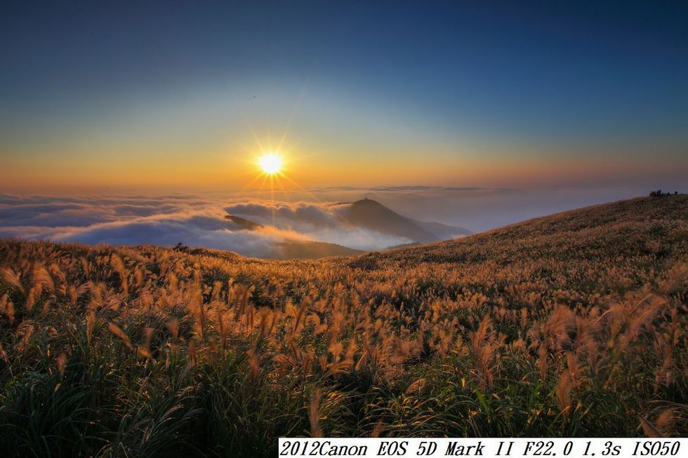 http://i.dcview.tw/gallery/201309/8b91ed65305486a5fb97d91ff15a24a5.jpg