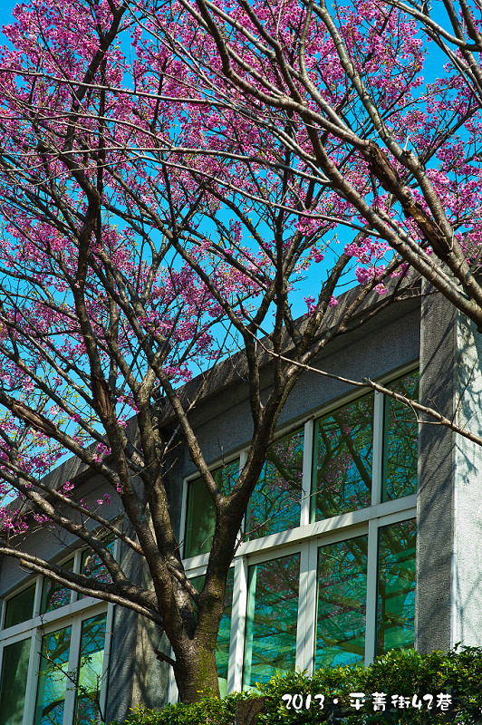 http://i.dcview.tw/gallery/201309/ba1e961a86c439d6dfa0dd19c67b22fa.jpg
