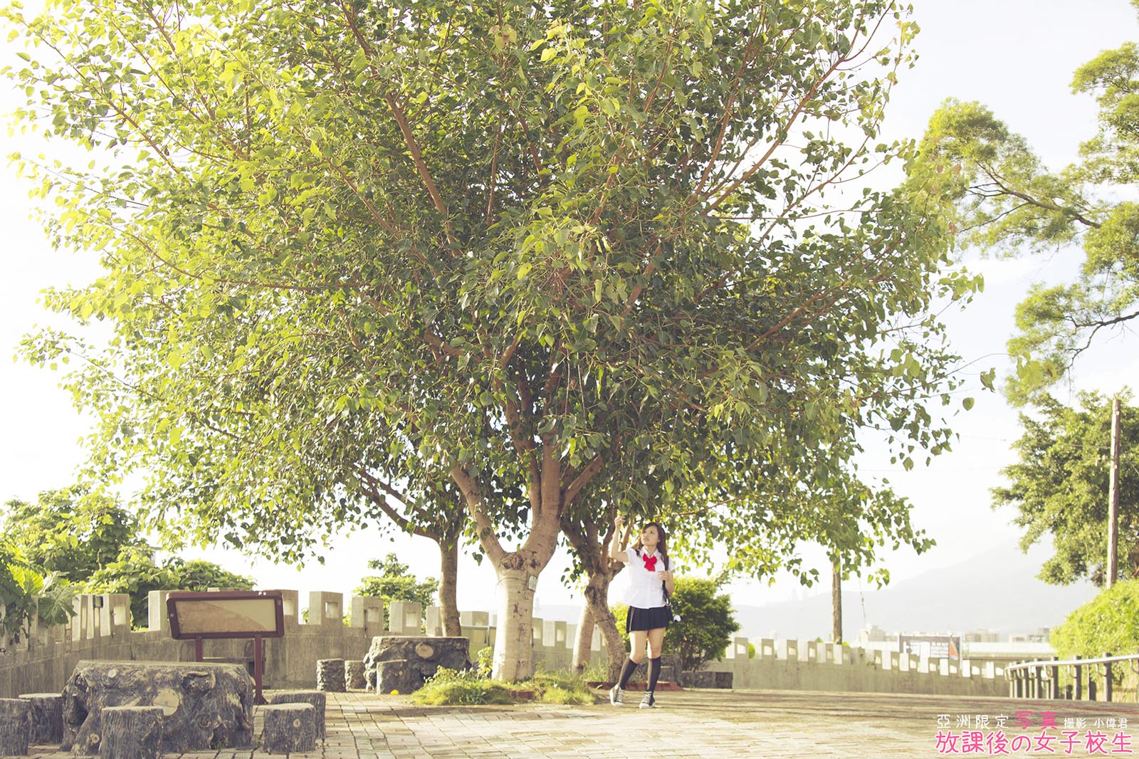 http://i.dcview.tw/gallery/201309/d036fb063e34613555a880959d2a5d26.jpg